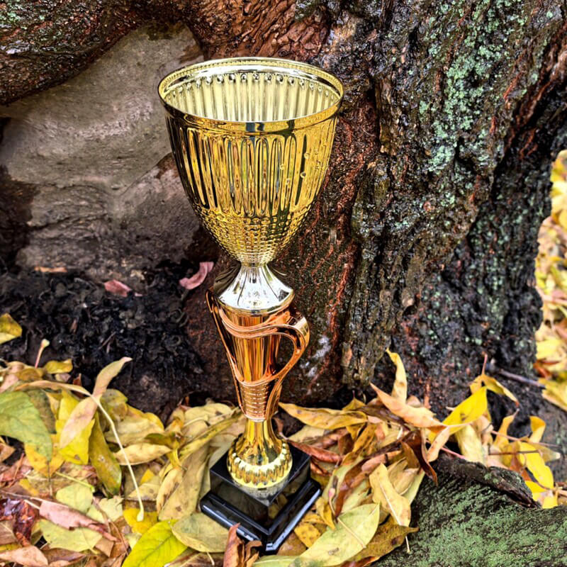 Кубок Тотти 4773-450-300