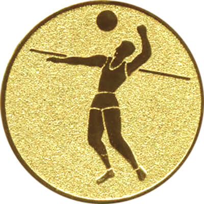 1111-105 Эмблема волейбол 1111-105