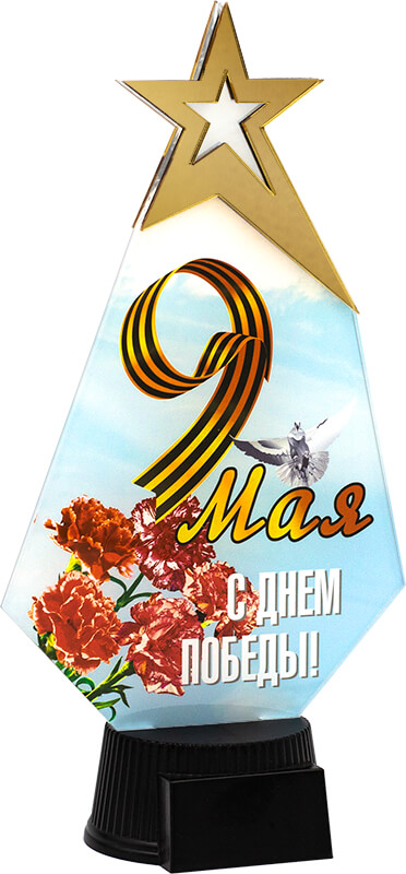 7213-У10 Акриловая награда 