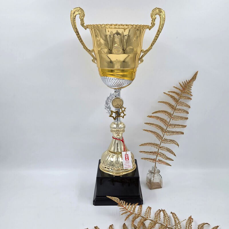 4475-000 Кубок Гюнтер 1,2,3 место 4475-000