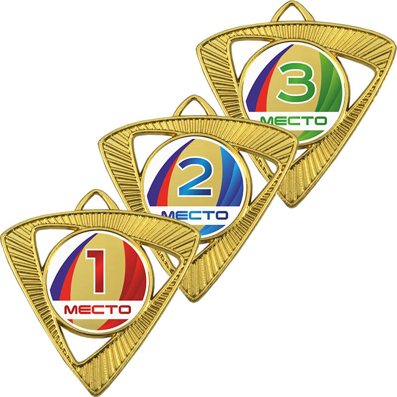 3587-123 Медаль Шервинта 1,2,3 место 3587-123