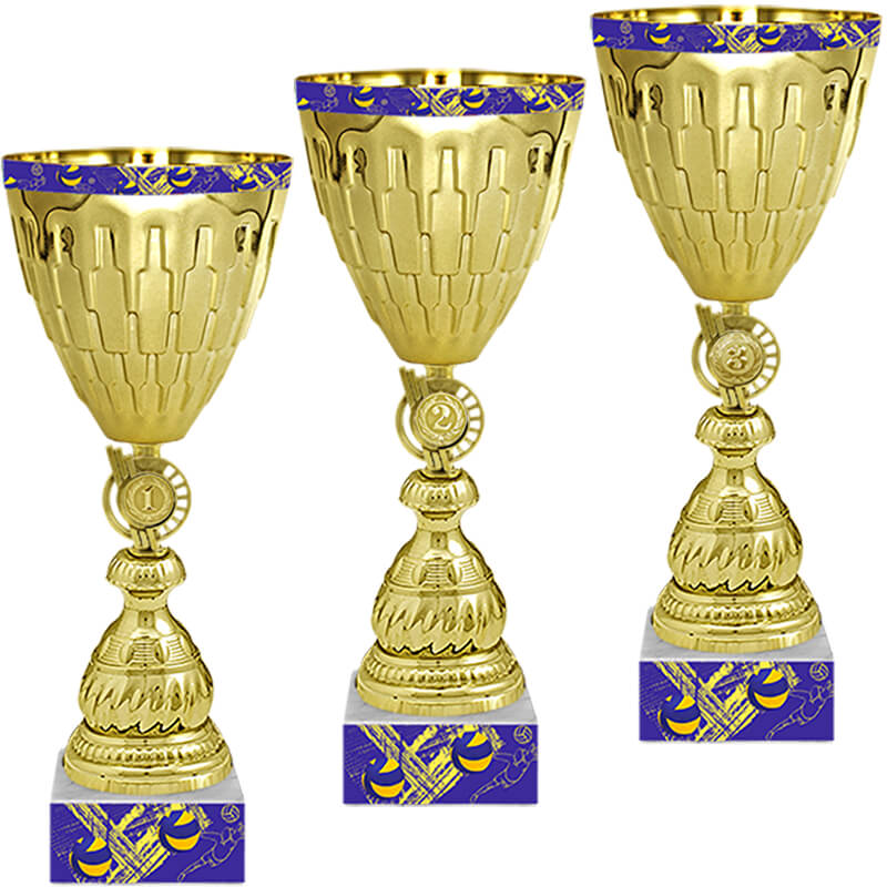4450-В00 Кубок Удрис (Волейбол) 1,2,3 место 4450-В00