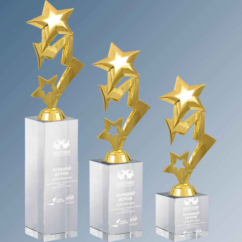 2497-ГР0 Награда Звезды с гравировкой 2497-ГР0