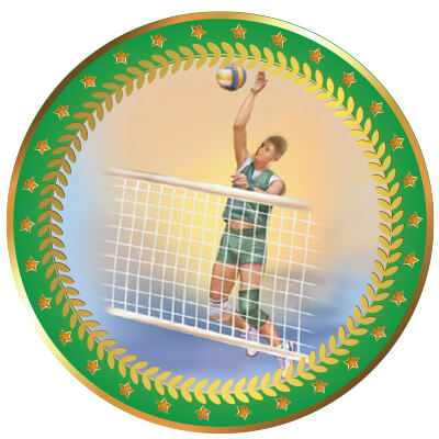 1399-130 Акриловая эмблема Волейбол мужской 1399-130