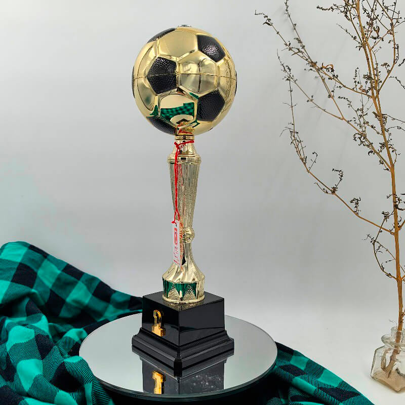 Кубок Ромарио 1 место 5718-310-101