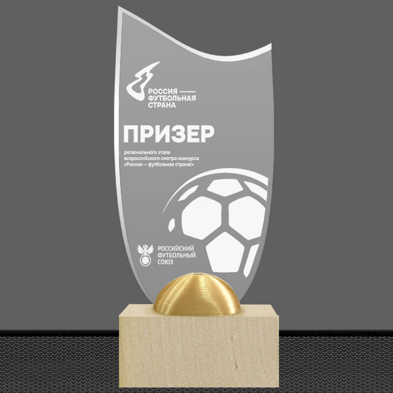2898-ГР3 Акриловая награда с лазерной гравировкой 2898-ГР3