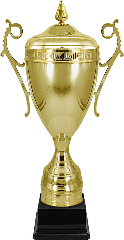 5096-100 Кубок Амур 5096-100