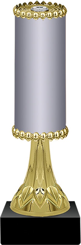 2992-201 Награда (без фигуры) 2992-201