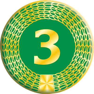 1383-053 Акриловая эмблема 3 место 1383-053