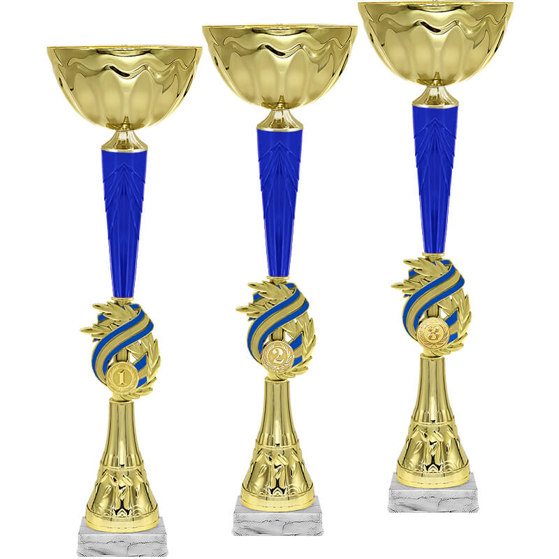 5251-300 Кубок Варлам 1,2,3 место 5251-300