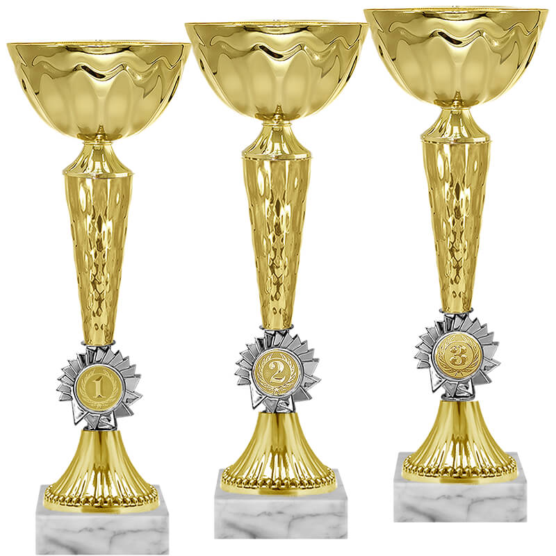 4134-200 Кубок Гриф 1,2,3 место 4134-200