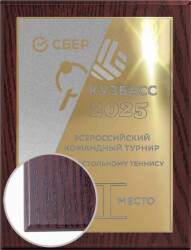 П002-МЕХ-100