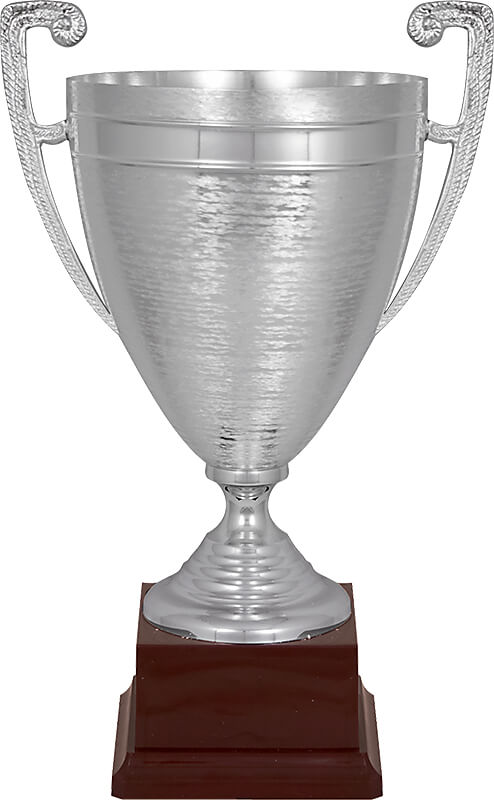 6009-200 Кубок Мурманск 6009-200