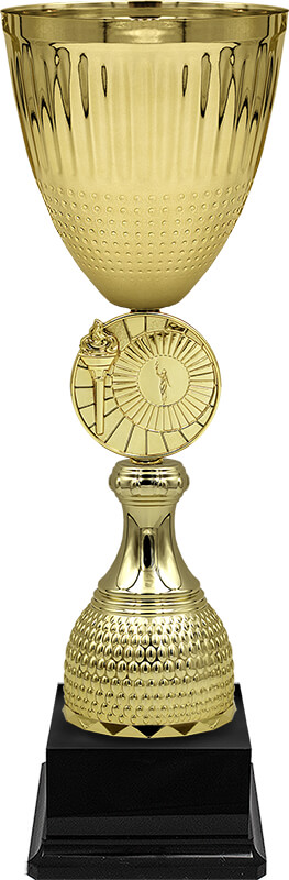 4831-000 Кубок Чаян 4831-000