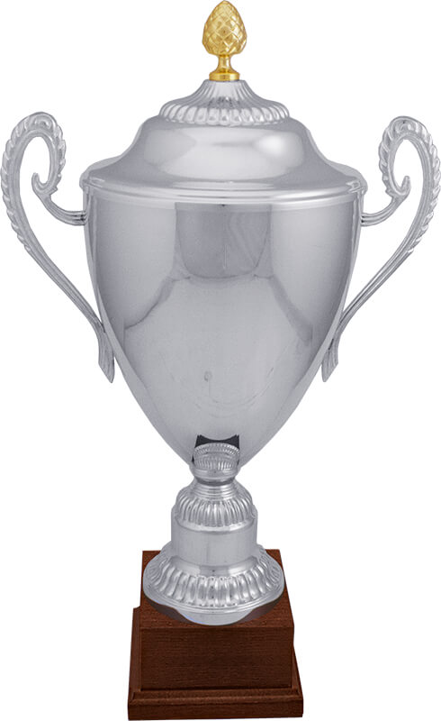 6002-000 Кубок Иркутск 6002-000