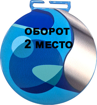 Медаль футбол 2 место (сублимационная печать) 3750-070-Ф02