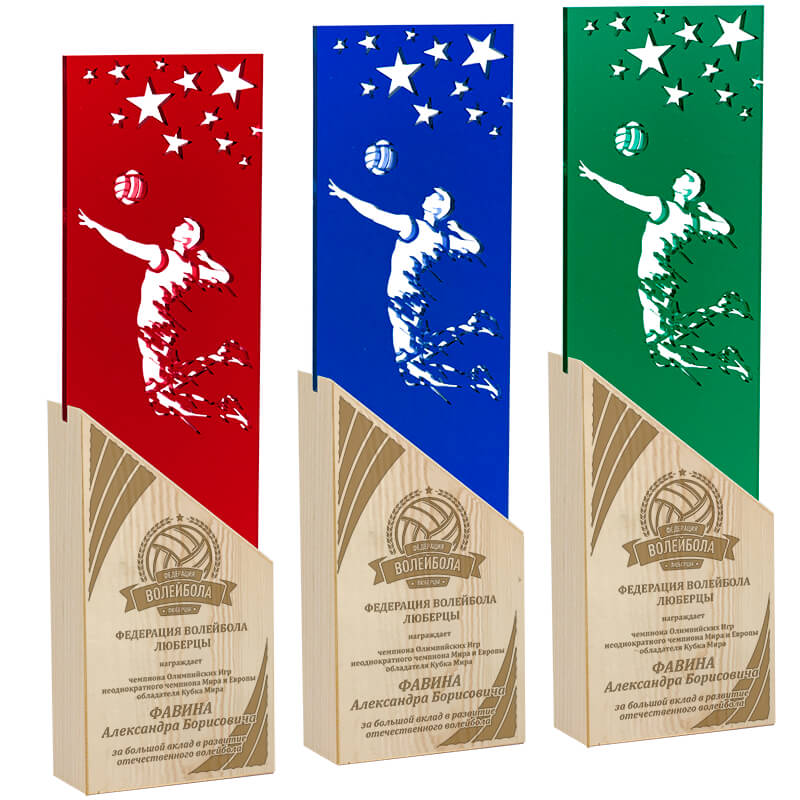 2717-ГР0 Награда Волейбол с гравировкой 2717-ГР0