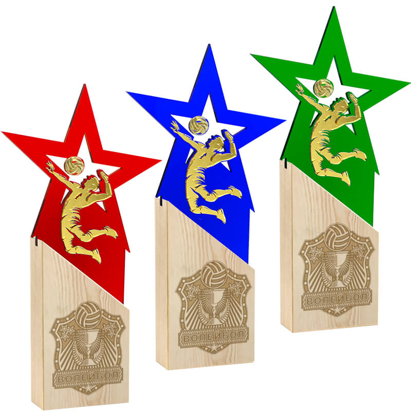 2720-000 Награда Волейбол 2720-000