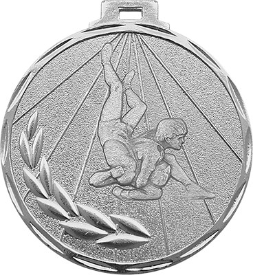 3400-019 Медаль Борьба 3400-019